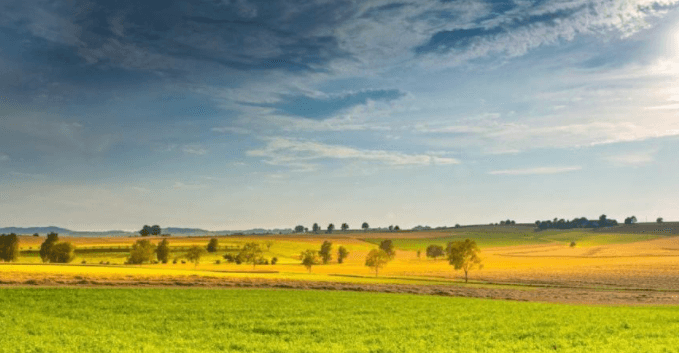 Firmata la convenzione tra Coldiretti e Cascina Pulita